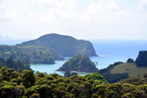 The bay of Tutukaka